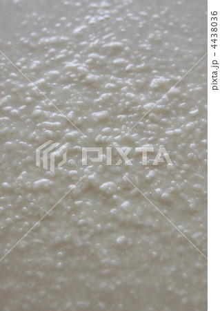 塩麹発酵中 塩麹発酵中 4438036