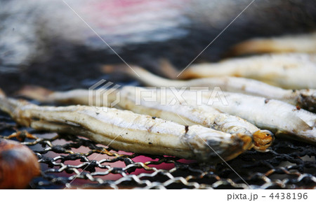 海鮮バーベキュー 4438196