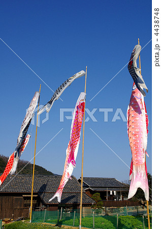鯉のぼり 4438748
