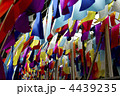 フラッグ 4439235