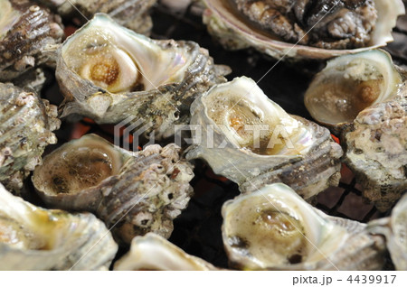 サザエのつぼ焼き 4439917