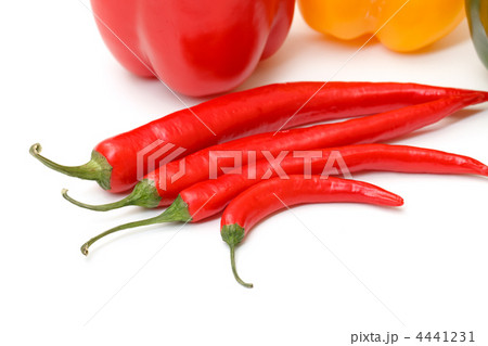 Chili pepper and paprika Chili pepper and paprika 4441231