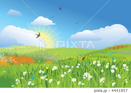 Colorfull meadow / flower and grass / vector Colorfull meadow / flower and grass / vector 4441957