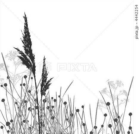 Grass silhouettes / vector / elements are separated Grass silhouettes / vector / elements are separated 4442254