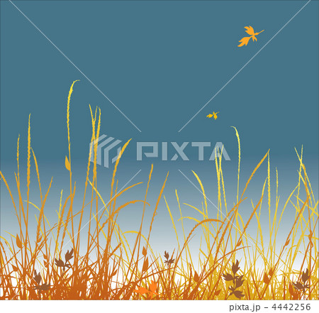 autumn grass vector background autumn grass vector background 4442256