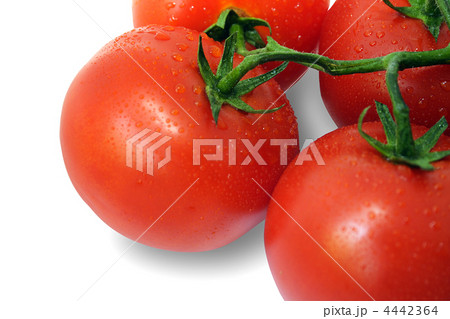 Tomato and drops of water (with Clipping Path) 4442364