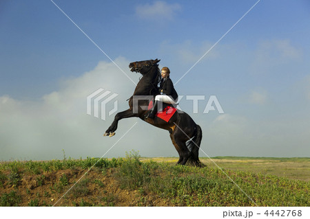girl trains the horse 4442768