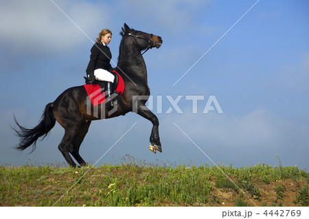 girl trains the horse girl trains the horse 4442769