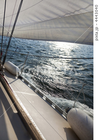 Sailing into the wind / sunlight Sailing into the wind / sunlight 4443040