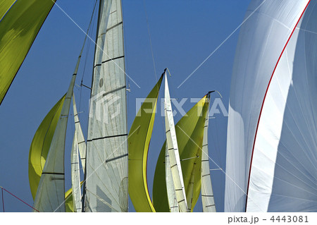 Sailing in Good Wind / sails background Sailing in Good Wind / sails background 4443081