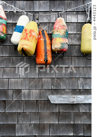 Hanging buoy 4443123