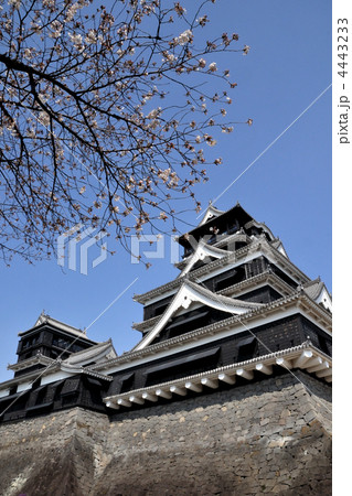 熊本城（2） 4443233