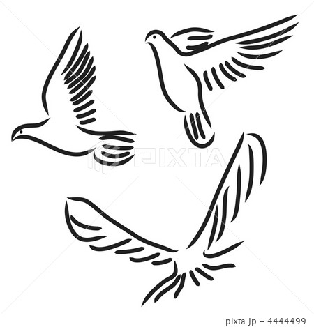 Set of white vector doves. 4444499
