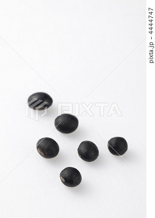 丹波の黒豆 4444747