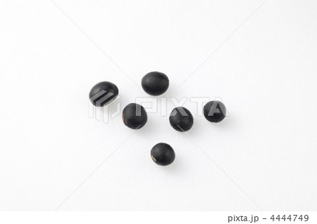 丹波の黒豆 丹波の黒豆 4444749