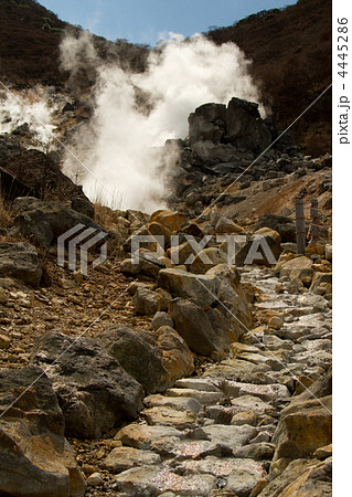 大涌谷(箱根) 4445286