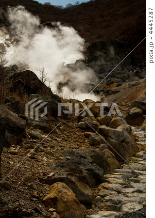 大涌谷(箱根) 4445287