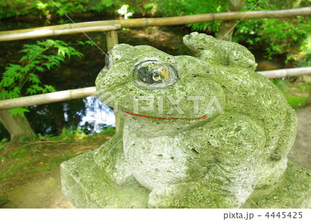 中尊寺・峯薬師堂の蛙石像の写真素材 [4445425] - PIXTA