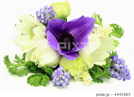 春の花束 4445905