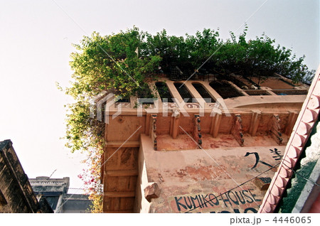 クミコハウス〜1997年2月(バラナシ/インド) クミコハウス〜1997年2月(バラナシ/インド) 4446065