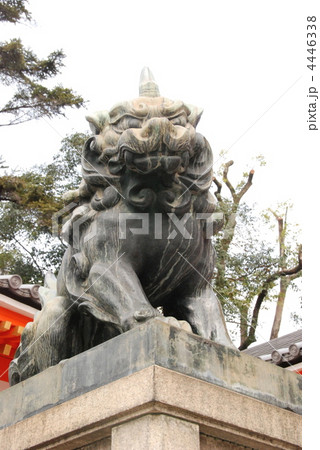 八坂神社の狛犬（京都市東山区） 4446338