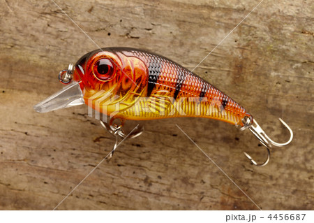 fishing lure 4456687