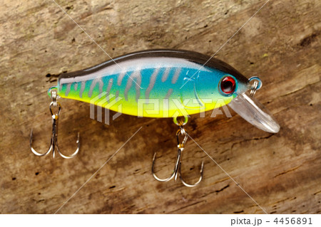 fishing lure fishing lure 4456891