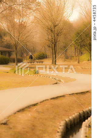 自然観察園の遊歩道 自然観察園の遊歩道 4458735