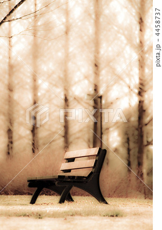 並木とベンチ 4458737