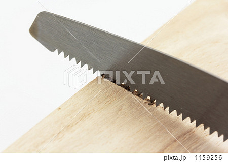 のこぎり 4459256
