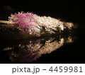 4459981