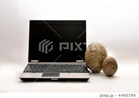 ノートパソコンと卵の化石 ノートパソコンと卵の化石 4460799