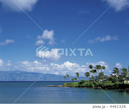 マウイの海岸 4461326