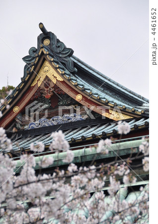 静岡浅間神社　大拝殿と桜 4461652