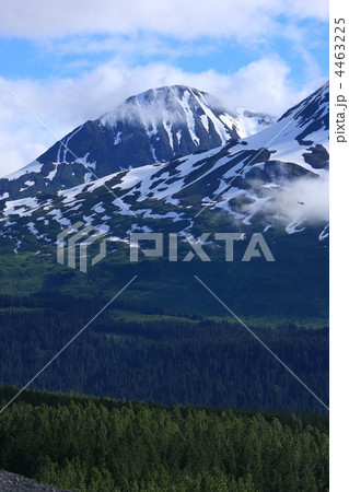 アラスカの山 アラスカの山 4463225