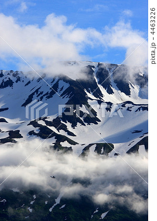 アラスカの山 4463226