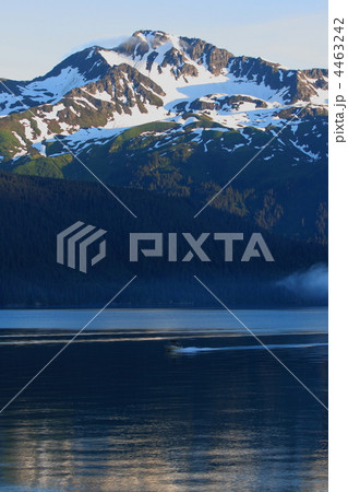 スワード入港 4463242