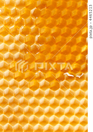 fresh honey in comb fresh honey in comb 4465213