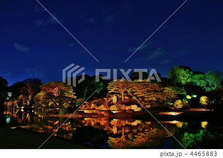 駒込・六義園　ライトアップ 4465883