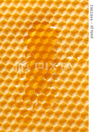fresh honey in comb 4465962