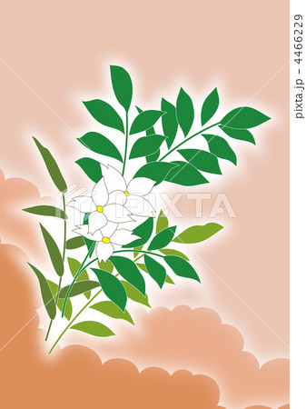 和風な春の花 和風な春の花 4466229