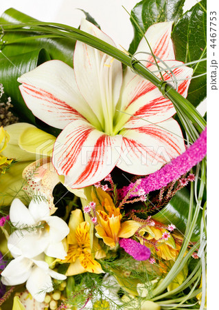 beautiful bouquet 4467753