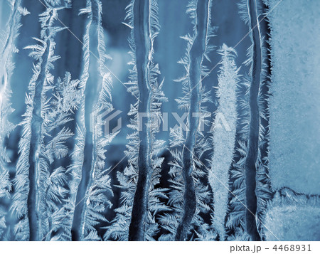 Frosty natural pattern Frosty natural pattern 4468931