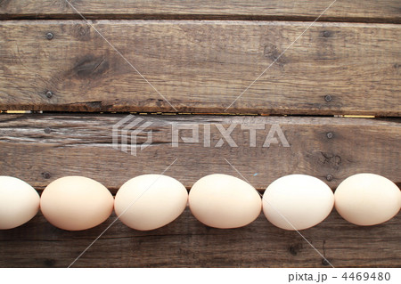 一列に並べた産地直送のさくら鶏の卵　さくらたまご 4469480