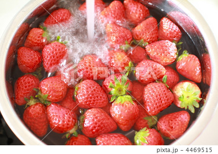 ステンレスボウルに入れて流水洗いしているイチゴ 4469515