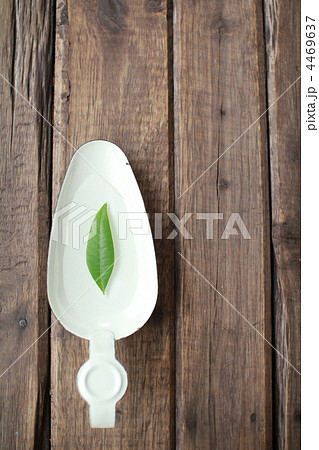 ホウロウトレーの上に浮かぶパキラの葉　フラワーベース 4469637