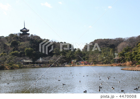 三渓園 三渓園 4470008