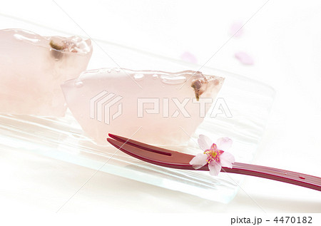 春の和菓子の葛桜 4470182