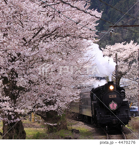 春の大井川鐵道 春の大井川鐵道 4470276