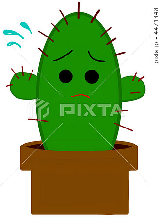 サボテン　困る 4471848